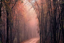 NG体育官网：流行羽国际传奇2025新征程在蓉发布3-27 18：16.