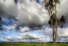 NG体育官网：女排土超袁心玥休战瓦基弗夺第15胜 伊萨3-2费内.