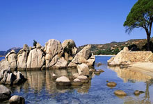 NG体育官网：流行羽国际传奇2025新征程在蓉发布3-27 18：16.